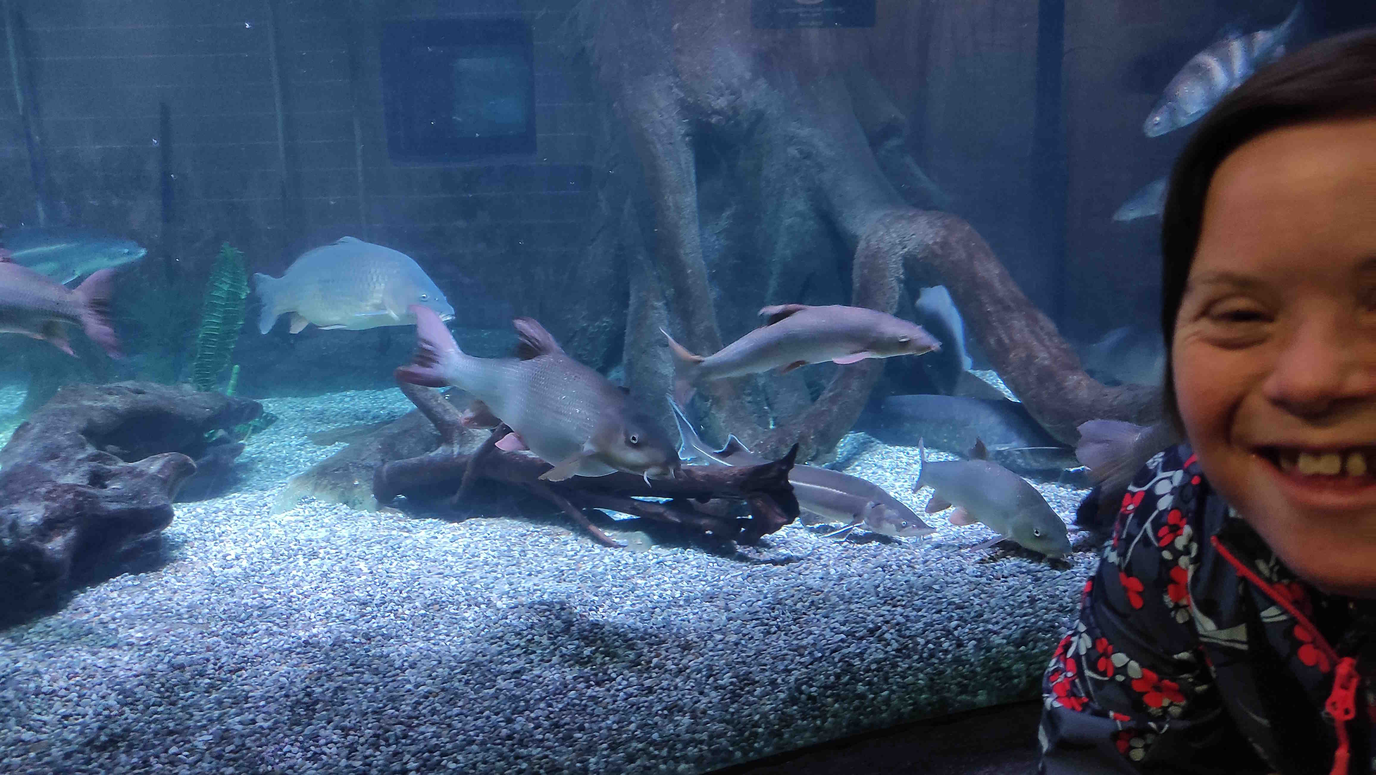SEALIFE 231007 05